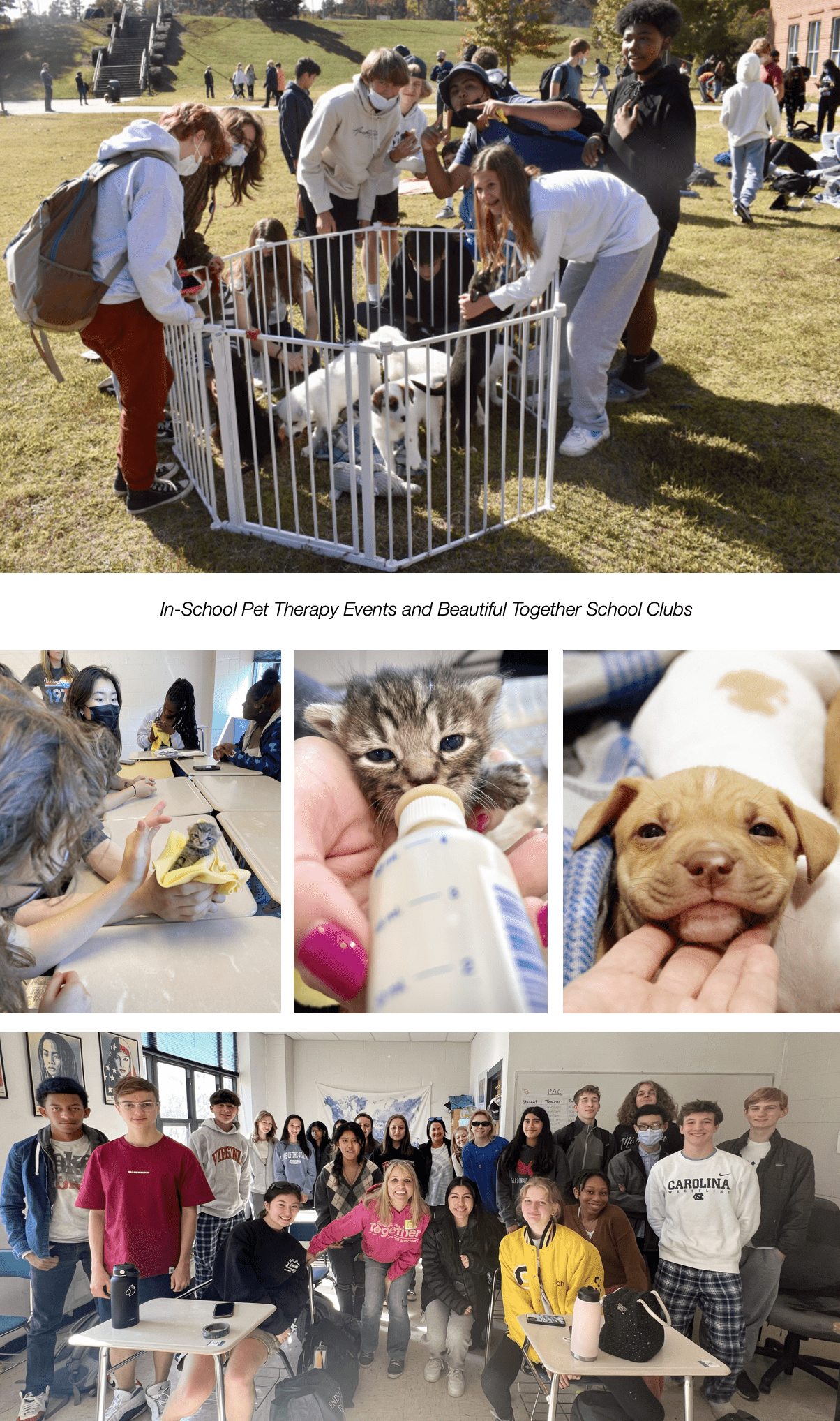 Beautiful Together Animal Sanctuary, Youth Programs, Chapel Hill Carrboro School System, North Carolina