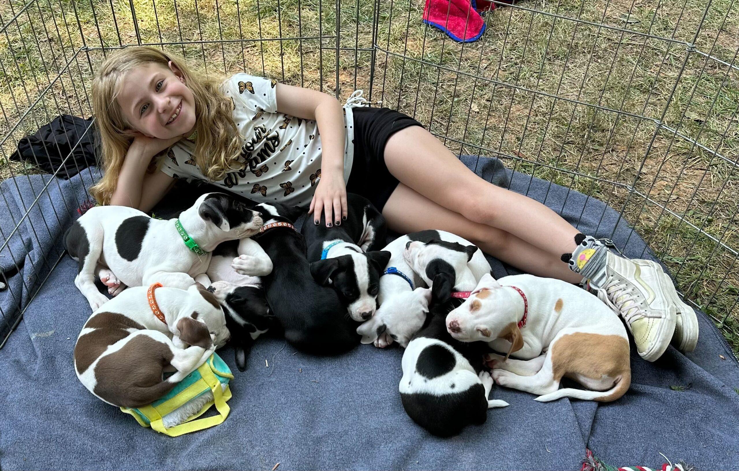 Thanks for a Successful Cat and Dog Adoption Event!