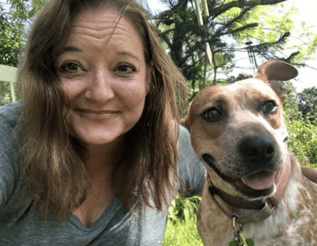 rescue dog finds her forever home