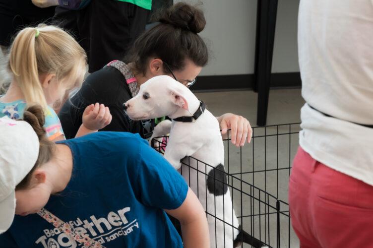rescue puppy adoption event