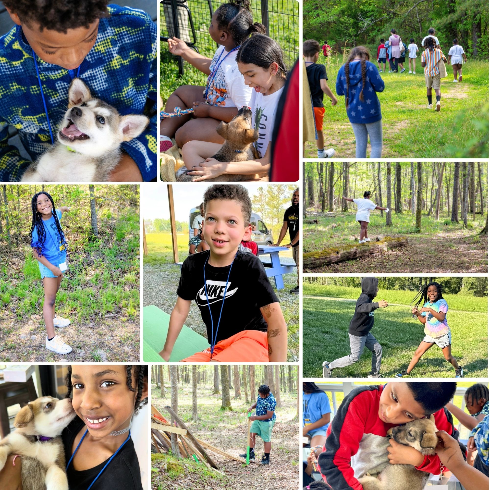 Academic Enrichment Camps in association with Hargraves Community Center in Chapel Hill at Beautiful Together Animal Sanctuary
