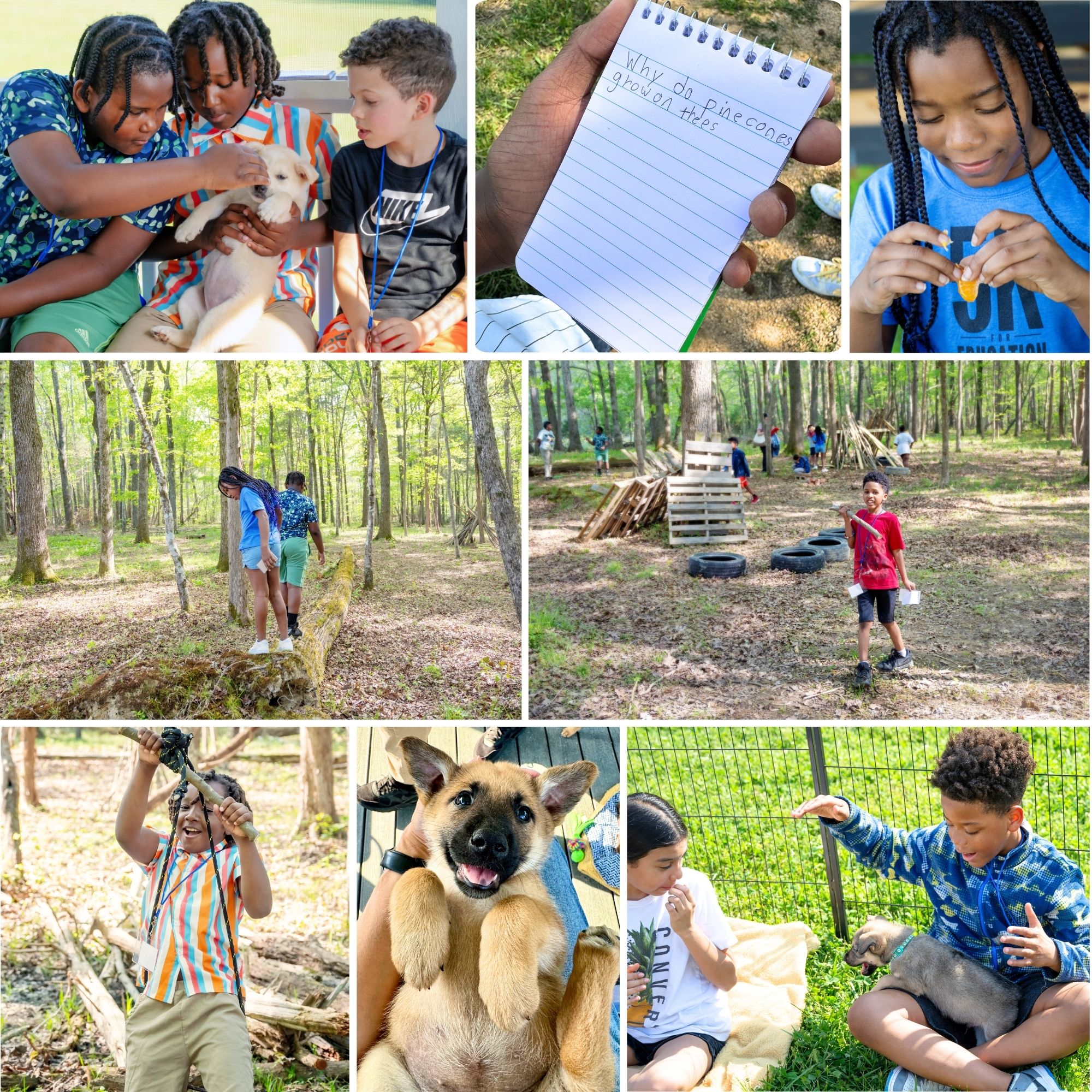 Academic Enrichment Camps in association with Hargraves Community Center in Chapel Hill at Beautiful Together Animal Sanctuary