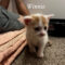 Winnie