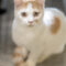 Casper