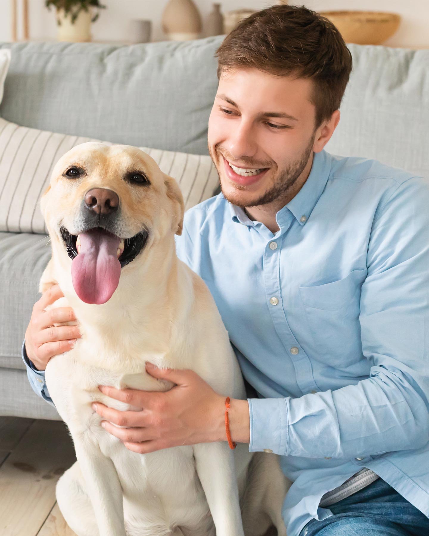 Luna’s Journey to Joy